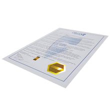 Load image into Gallery viewer, chllen lifestyle wear blizzard skateboard deck arctic blue certificate